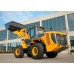 LiuGong 842H (Cummins+ZF+LG) LiuGong 842H (Cummins+ZF+LG)