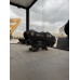 KCHM HM60